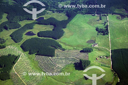  Assunto: Vista aérea de plantações - Agricultura
Local: Noroeste do Rio Grande do Sul - Região de Cruz Alta
Data: Março de 2008 