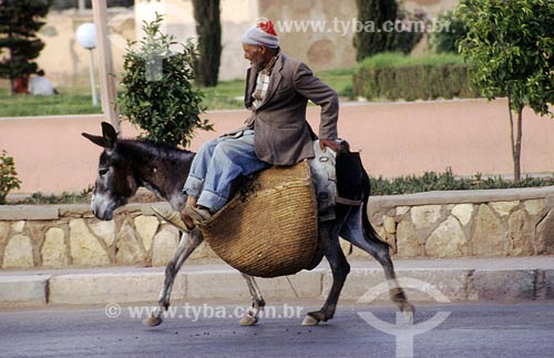  Assunto: Homem em burro
Local: Marrocos 