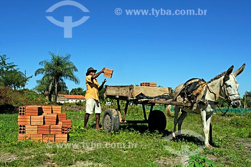  Assunto: Homem colocando tijolos em carroça - Sede da União das Mães / Local: Itapecurú-Mirim - MA / Data: 08/2008 
