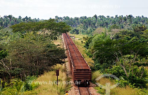  Assunto: Trem transportando ferro gusa na Estrada de Ferro Carajás / Local: Entre Ararí e Miranda do Norte - MA / Data: 08/2008 