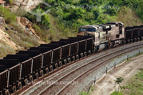  Assunto: Trem da companhia Vale do Rio Doce transportando ferro / Local: Estrada de Ferro Carajás - PA / Data: 08/2008 