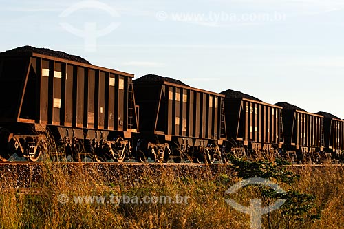  Assunto: Trem de carga transportando ferro na Estrada de Ferro Carajás / Local: Marabá - PA / Data: 08/2008 