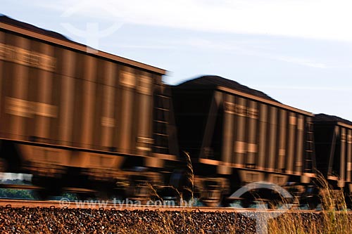  Assunto: Trem de carga transportando ferro na Estrada de Ferro Carajás / Local: Marabá - PA / Data: 08/2008 