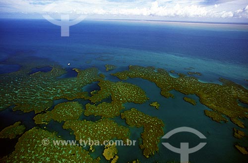  Recifes de coral do Parcel das Paredes expostos na maré baixa  - Caravelas - Bahia - Brasil