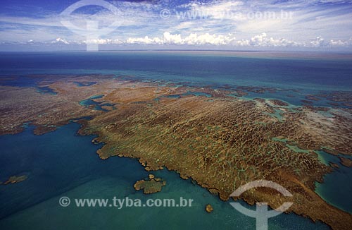 Recifes de coral do Parcel das Paredes expostos na maré baixa  - Caravelas - Bahia - Brasil