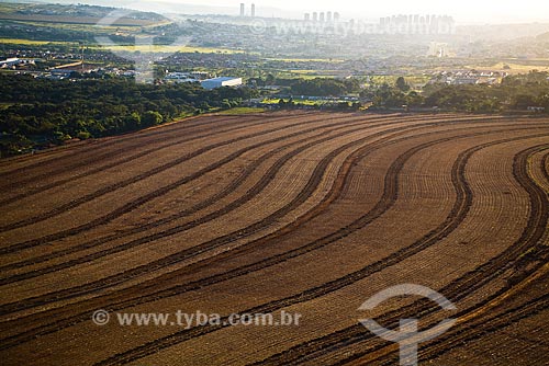  Assunto: Plantação de cana-de-açúcar na região de Ribeirão Preto / 2008 