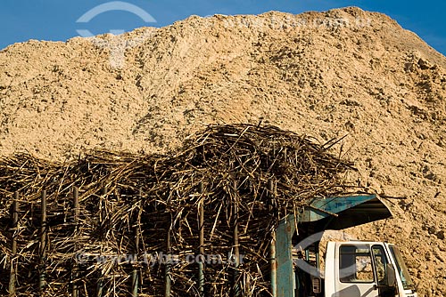  Transporte de cana-de-açúcar dos campos ao moínho para produção de etanol e açúcar  - Cosmópolis - São Paulo (SP) - Brasil