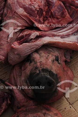 Assunto: Cabeça de porco morto no Mercado Ver-o-peso / Local: Belém (PA) / Data: 10 de Outubro de 2008 