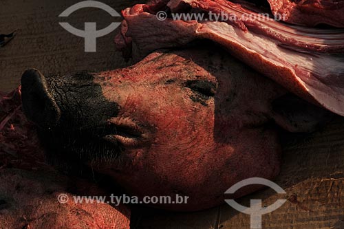  Assunto: Cabeça de porco morto no Mercado Ver-o-peso / Local: Belém (PA) / Data: 10 de Outubro de 2008 