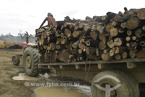  Assunto: Trabalhadores chegando à uma area de carvoaria e desmatamento na Amazonia / Local: Amazônia/ Data: 12 de Maio de 2004 