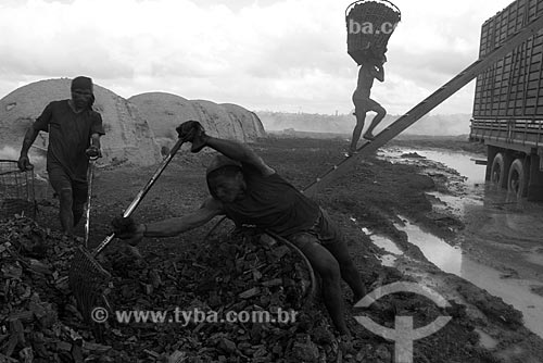 Assunto: Carvoeiro trabalhando / Local: Pará (PA) / Data: 14 de Maio de 2004 