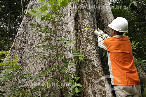  Assunto: Inventário de árvores para corte - madeira certificada / Local: Almerim (PA) / Data: 14 de Junho de 2006 