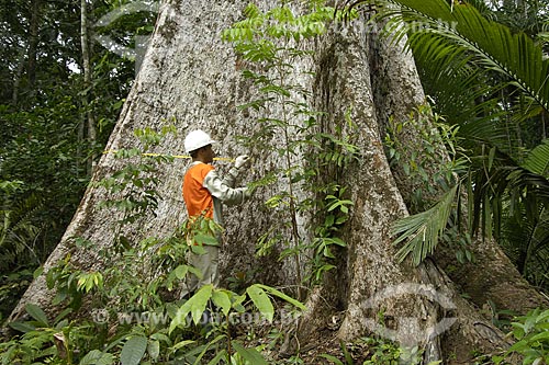  Assunto: Inventário de árvores para corte - madeira certificada / Local: Almerim (PA) / Data: 14 de Junho de 2006 
