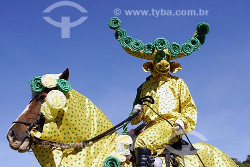  Assunto: Mascarados na Festa do Divino Espírito Santo em Pirenópolis / Local: Pirenópolis (GO) / Data: 27 de Maio de 2007 