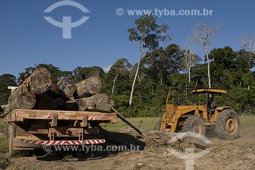  Assunto: Desmatamento na reserva extrativista Cachoeira, Manejo Florestal da madeira é autorizado / Location: Acre - Brasil / Data: 11 de Julho de 2008 