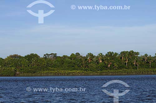  Assunto: Vista de rio e da floresta amazônica / Local: Pará / Data: 18 de Julho de 2008 