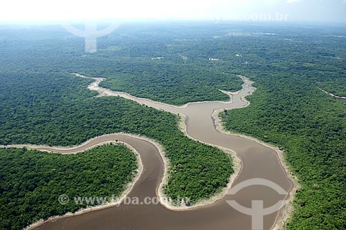 Assunto: Mata de igapó na margem direita do rio Negro, logo acima do Estreito do rio Negro, perto de Manaus / Local: Amazonas (AM) / Data: 26 de Outubro de 2007 