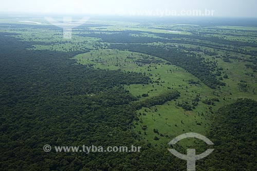  Assunto: Várzea da margem direita do rio Amazonas, na época da seca, entre Manaus e Itacoatiara / Local: Amazonas (AM) / Date: 29 de Outubro de 2007 
