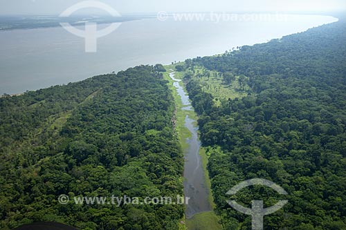  Assunto: Várzea no encontro dos rios Madeira e Amazonas, na margem direita do rio Amazonas / Local: Amazonas (AM) / Data: 29 de Outubro de 2007 