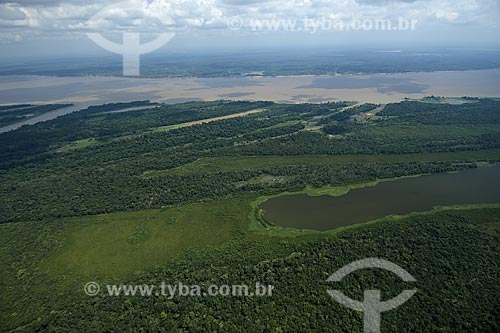  Assunto: Várzea do rio Amazonas, perto de Itacoatiara / Local: Amazonas (AM) / Data: 29 de Outubro de 2007 