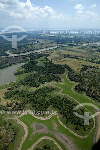  Assunto: Várzea da margem direita do rio Amazonas, entre Manaus e Itacoatiara / Local: Amazonas (AM) / Data: 29 de Outubro de 2007 