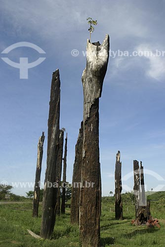  Assunto: Monumento aos mortos do massacre de Eldorado dos Carajás / Local: Pará (PA) - Brasil / Data: 2004 
