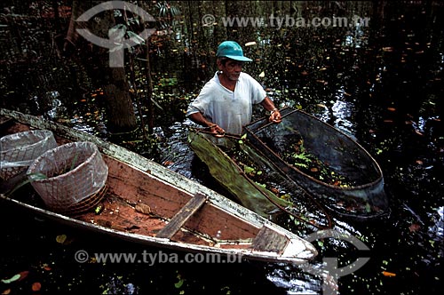  Assunto: Pesca tradicional de peixes ornamentais em igapó do Rio Negro / Local: Amazonas (AM) - Brasil / Data: 2004 