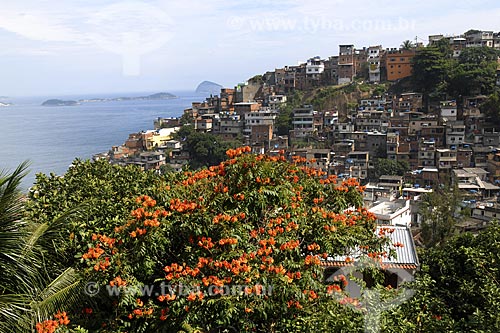  Assunto: Favela do Vidigal / Local: Zona Sul - Rio de Janeiro - RJ - Brasil / Data: 14/01/2009 