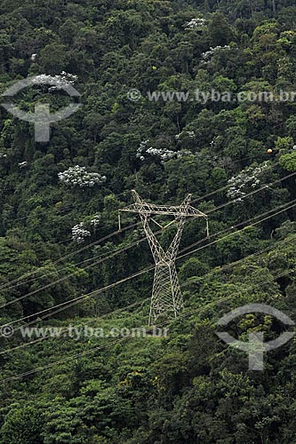  Assunto: Torre de transmissão de energia elétrica - Estação Ecológica Mata do Jambreiro / Local: Nova Lima - Minas Gerais (MG) - Brasil / Data: 15/04/2009 