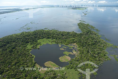  Assunto: Lago grande do Careiro da Várzea, Várzea do rio Amazonas, perto de Manaus / Local: Amazonas (AM) - Brasil / Data: Julho 2007 