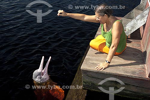  Assunto: Cecília Marigo atraindo um boto-vermelho (Inia geoffrensis) no rio Negro, em Novo Airão / Local: Rio Negro - Amazonas (AM) - Brasil / Data: Julho 2007 