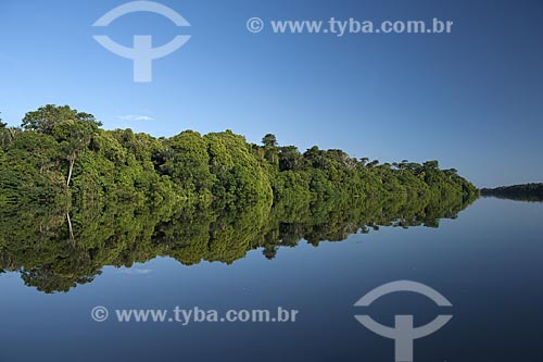  Assunto: Mata de igapó na época da cheia, nas ilhas da ESEC Anavilhanas / Local: Rio Negro - Amazonas (AM) - Brasil / Data: Julho 2007 