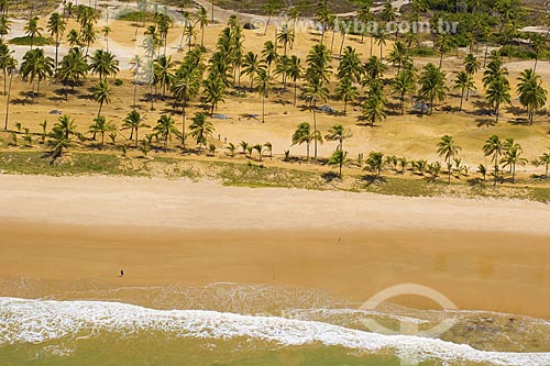  Assunto: Vista aérea da Praia do Forte / 
Local: Mata de São João - Bahia (BA) - Brasil / 
Data: Fevereiro de 2006 