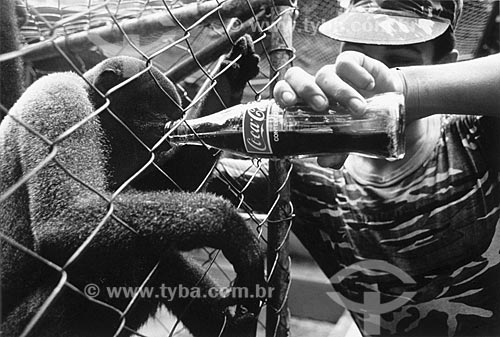  Assunto: Soldado do exército dando Coca-Cola para um macaco no zoológico militar de Manaus / Local: Manaus - Amazonas (AM) - Brasil / Data: 1987 