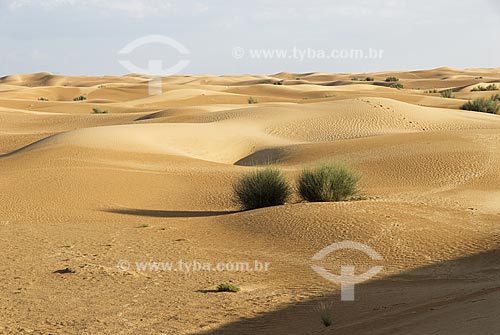  Deserto de areia - Dubai - Emirados Árabes Unidos 