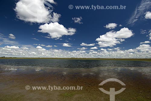 Assunto: Lagoa do Lavrado de Roraima / Local: Estrada de Boa Vista para Alto Alegre - Roraima - Brasil / Data: Janeiro de 2006 