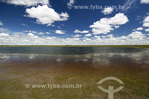  Assunto: Lagoa do Lavrado de Roraima / Local: Estrada de Boa Vista para Alto Alegre - Roraima - Brasil / Data: Janeiro de 2006 