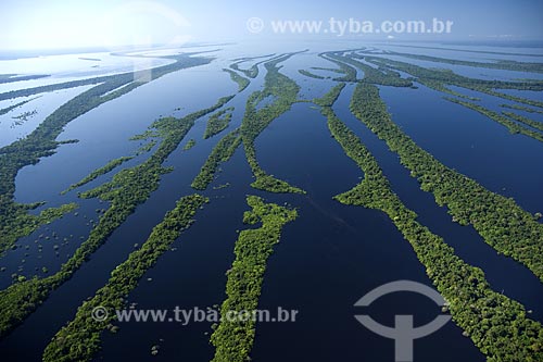  Assunto: Vista aérea da Estação Ecológica de Anavilhanas / 
Local: Rio Negro acima de Manaus - Amazonas (AM) - Brasil / 
Data: Junho de 2007 