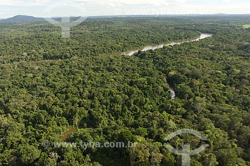  Assunto: Floresta amazônica na margem do rio Uraricoera, perto da ESEC Maracá (ilha de Maracá), a noroeste de Boa Vista / Local: Roraima (RR) - Brasil / Data: Janeiro de 2006 
