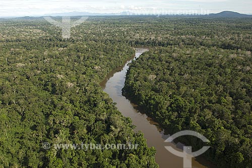  Assunto: Floresta amazônica na margem do rio Uraricoera, perto da ESEC Maracá (ilha de Maracá), a noroeste de Boa Vista / Local: Roraima (RR) - Brasil / Data: Janeiro de 2006 