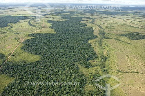  Assunto: Floresta amazônica de terra-firme no Lavrado de Roraima, a noroeste de Boa Vista, na direção da ilha de Maracá / Local: Roraima (RR) - Brasil / Janeiro de 2006 