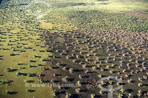  Assunto: Vista aérea de queimada na região do Cerrado / Local: perto de São Félix do Araguaia - Mato Grosso (MT) - Brasil / Data: Junho de 2006 