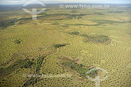  Assunto: Cerrado do PARNA (Parque Nacional) Araguaia, na ilha do Bananal / Local: Tocantins (TO) - Brasil / Data: Junho de 2006 