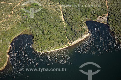  Assunto: Árvores mortas pelo inundamento da represa do Lajeado, perto de Palmas / Local: Tocantins (TO) - Brasil / Data: Junho de 2006 