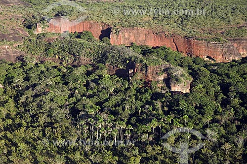  Assunto: Buritizais (Mauritia flexuosa) no sopé de chapadas perto da Represa do Lajeado / Local: Tocantins (TO) - Brasil / Data: Junho de 2006 