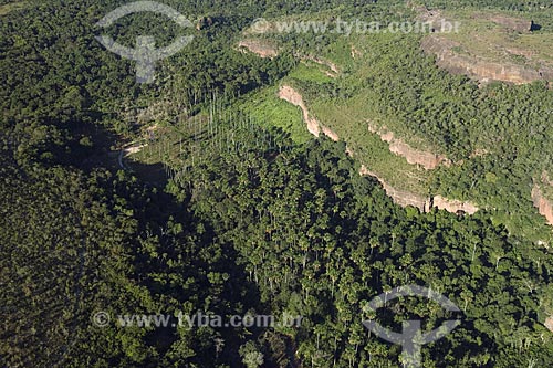  Assunto: Buritizal (Mauritia flexuosa) no sopé de chapadas perto da Represa do Lajeado / Local: Tocantins (TO) - Brasil / Data: 05/2007 