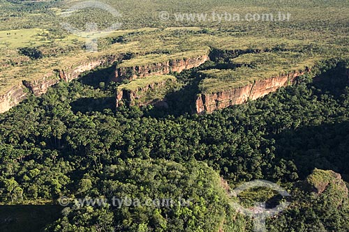  Assunto: Buritizal (Mauritia flexuosa) no sopé de chapadas perto da Represa do Lajeado / Local: Tocantins (TO) - Brasil / Data: 05/2007 