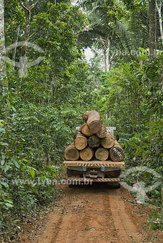  Asunto: Carregamento de madeira na Reserva Chico Mendes - Seringal Cachoeira / 
Local: Xapuri - Acre - Brasil / 
Data: 06/2008 