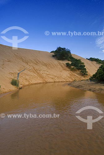  Assunto: Dunas do Parque Estadual do Jalapão / Local: Mateiros - Tocantins - Brasil / Data: 02/2007 