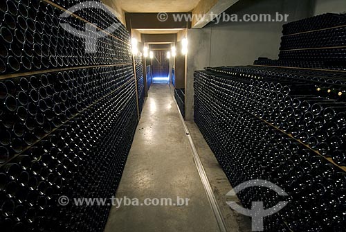  Assunto: Cave da vinícola Pizzato - Vale dos Vinhedos / 
Local: Bento Gonçalves - Rio Grande do Sul - Brasil / 
Data: 02/2008 